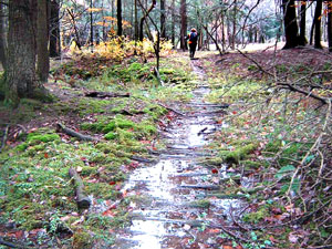 Hiking away down a wet trail.