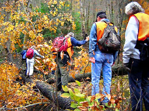 Crossing a stream on a log.